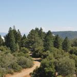 Palomar_0082 (September 10, 2011)
